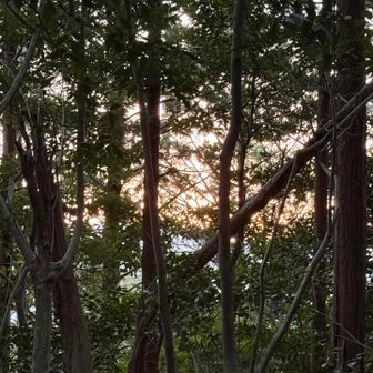 あーー😮‍💨
木がなかったら、
日の出みえてたんかな、、、、
せっかくなら
日の出見える山にしたら良かったな、、、
まちがいさがし4Point GET