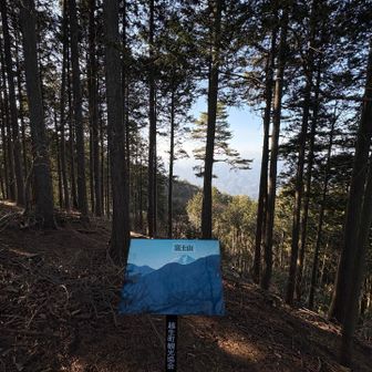 山頂からの富士山🗻ポイント

残念💦
