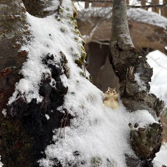 遊んでみたり♬