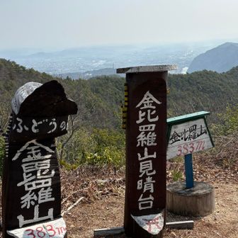 ちょっと霞んでた、残念