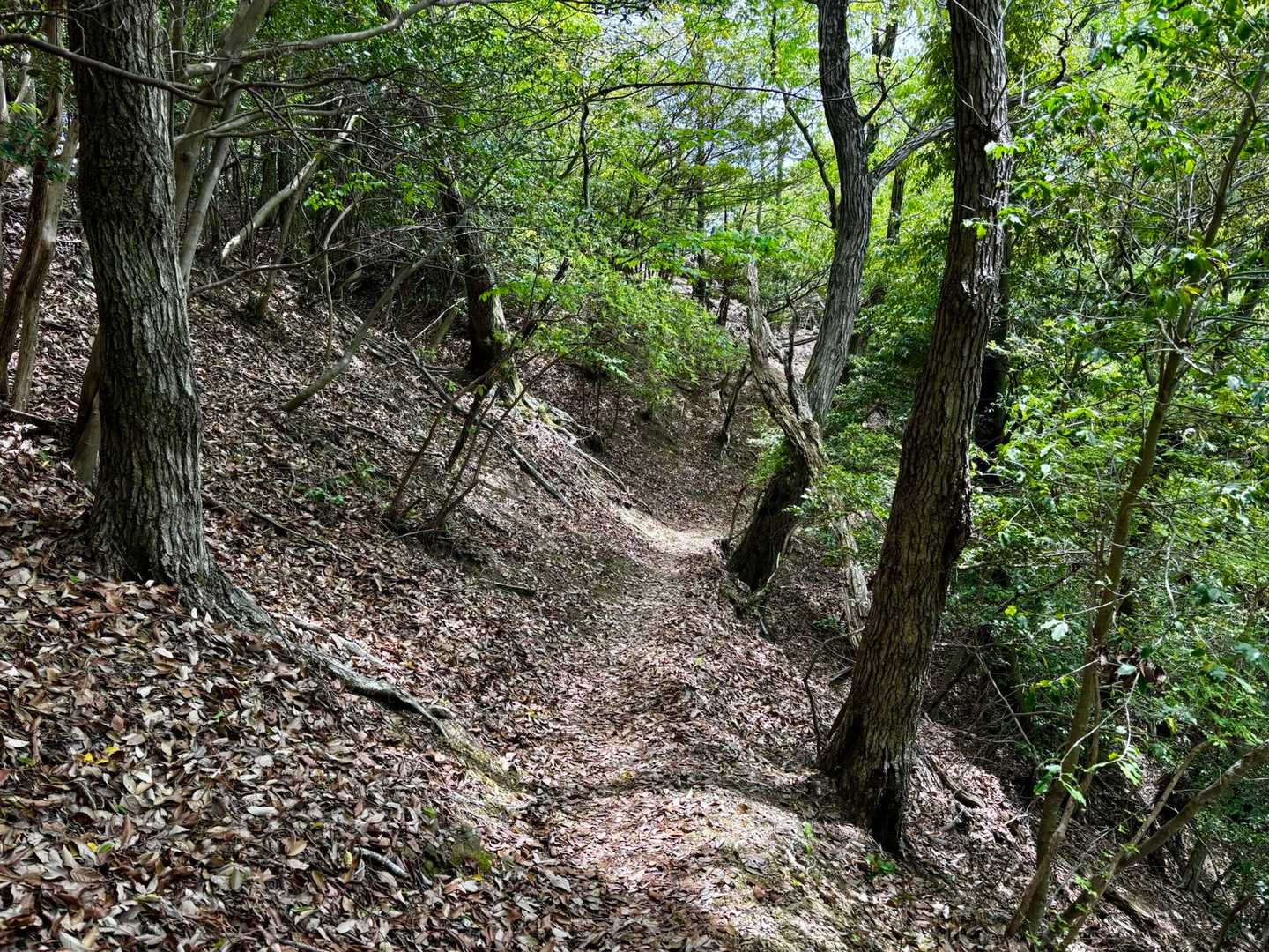 さぁ　下山です
上桂に向かいますよ(*ﾟ▽ﾟ*)