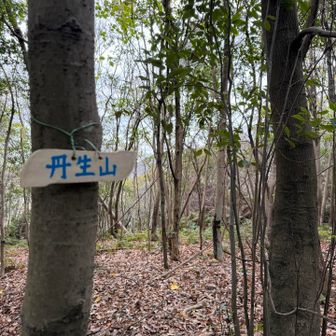 山頂
眺望は木々の隙間から