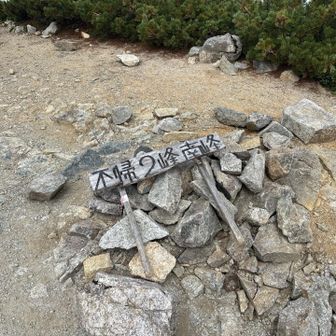 Ⅱ峰北峰を越えてからは
大分、楽になったような
唐松が遠い
