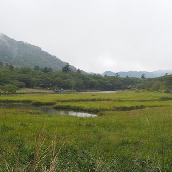 いい雰囲気
