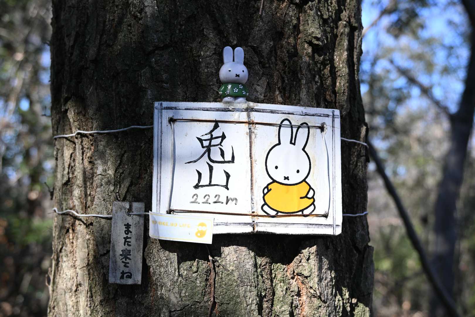 群馬】鹿田山・兎山～里山をサクッと周回で7座のピーク！ / ヤマサン