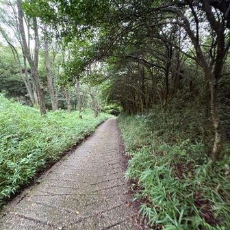 光明山神感寺へ舗装道路を下って行く