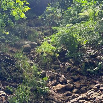 岩だらけの急登が延々と続く