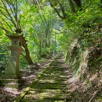段差が低い概ね1300段の優しい石段をﾄｺﾄｺﾋｮｲﾋｮｲ👣

10月25日開催予定の一畑マラソン🏃過酷な名物石段コースです🎶

無事に往復🚶‍♂️(勿論🐢〜〜歩きでﾗｸﾁﾝ)
参道のお店で冷茶でお饅頭をご馳走になりクールダウン。お店の👩さんとの一畑パークが開園されていた当時のお話が懐かしかった♡