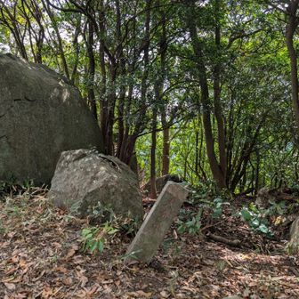 三角点はどこにあるのかなと探しましたが見つけられず、鷲巣岳の立て札も看板もなくて…三角点はこれなのかな？