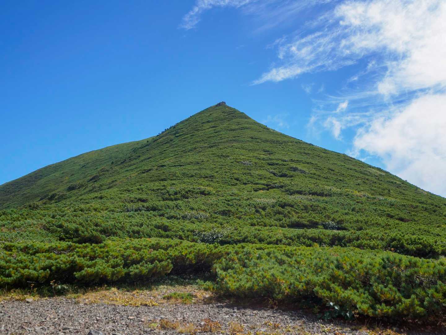 ちょっと一休みしてまずはチロロ岳へ🏔️
チロロ岳は、低めの這松の山。前回は上から踏み付けて進みましたが、今回はスネで強引に押し除ける🤣