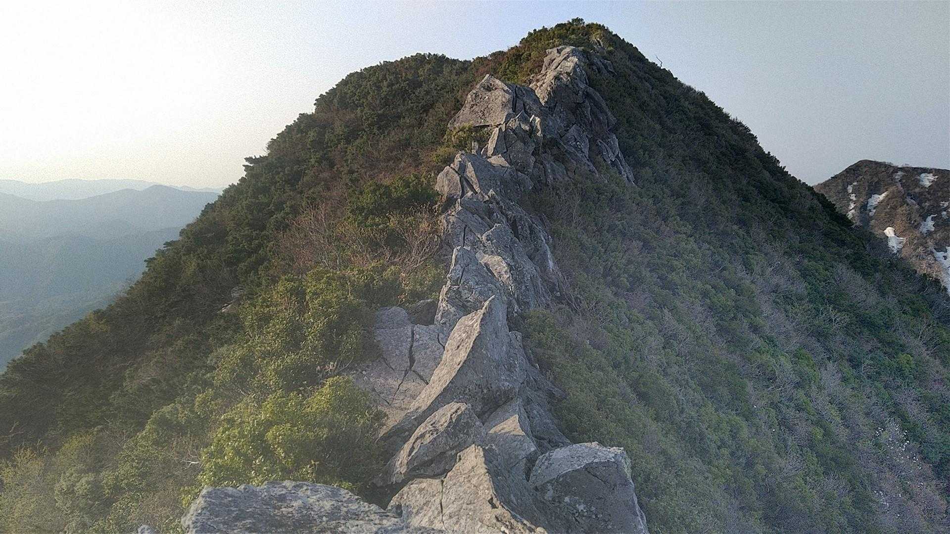 東坂登山口-勝田ヶ山-甲ヶ山 往復コースの写真