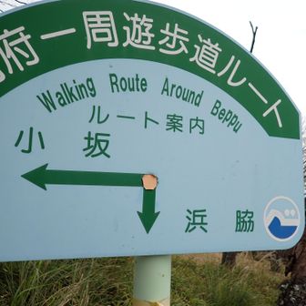 周遊の一部になっているとのこと