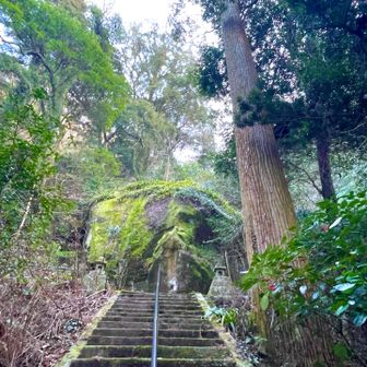 ありがとうございました🙇