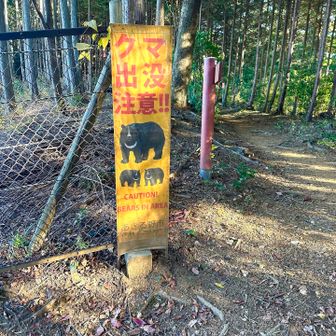 しかし、クマのさいるところ😨