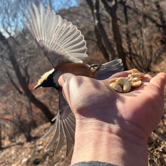 通りすぎだのかな？