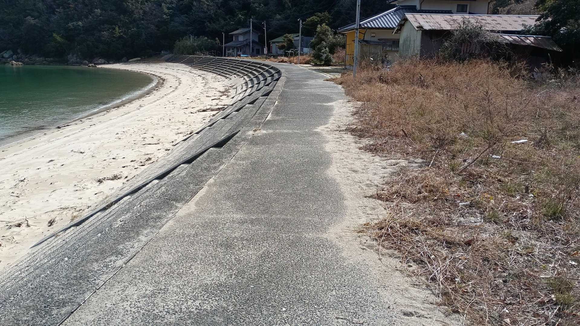 この何もなさそうなコンクリートの道でつまずいて派手に転倒🤣