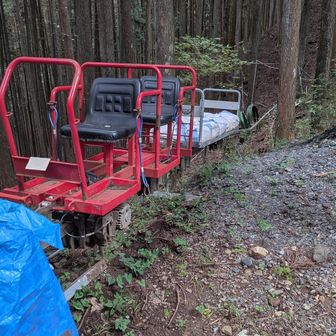 林業用のモノレールがありました。乗ってみたい！！