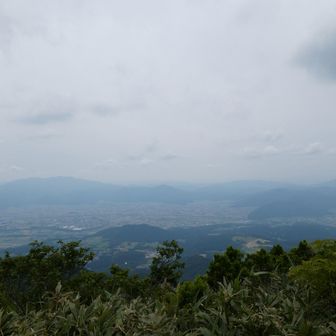 大野の町も見えて