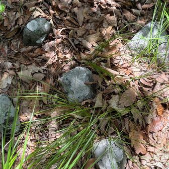 標高396.5mの三角点は崩れて等級不明
