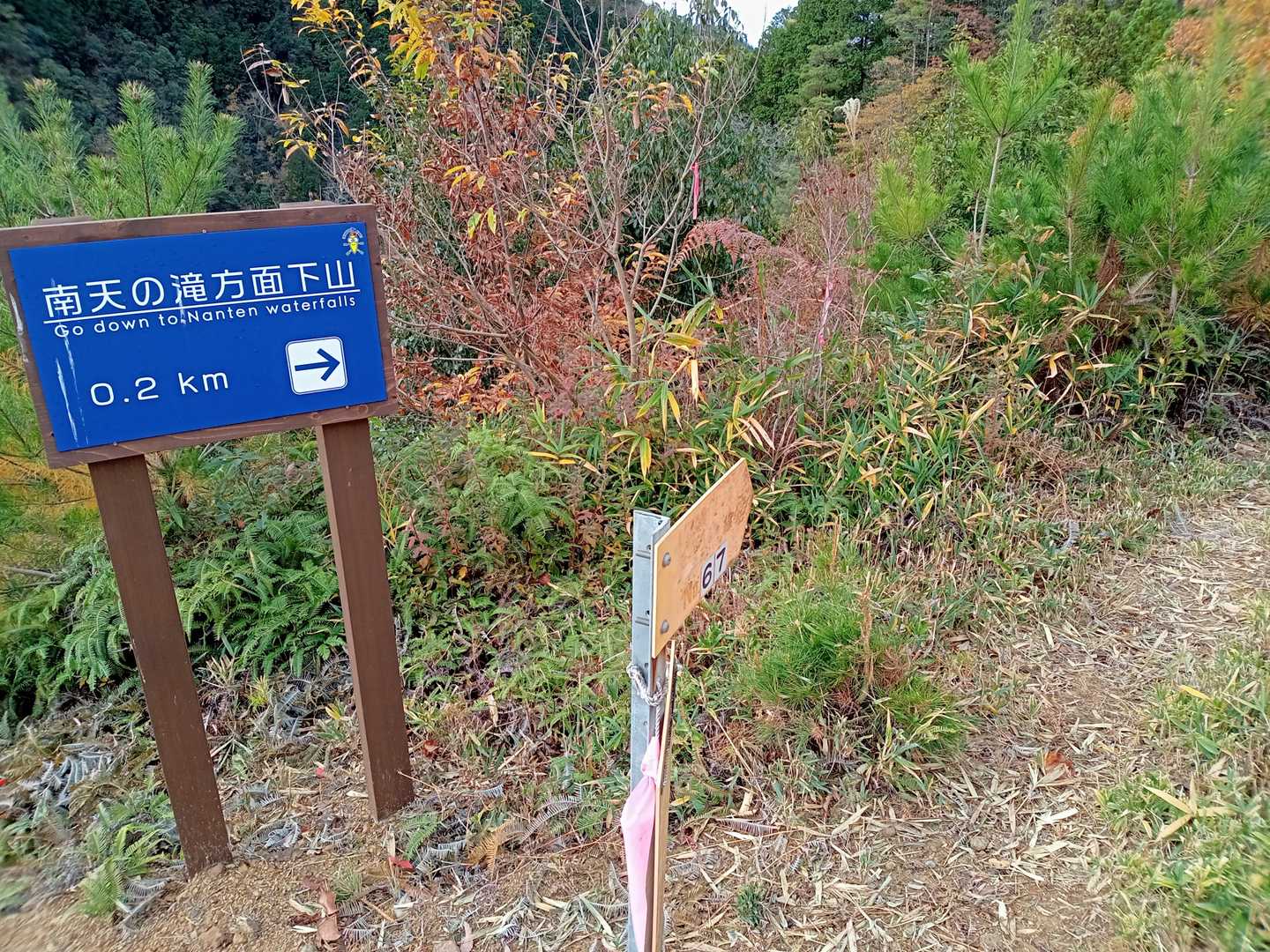 南天の滝🍁へ