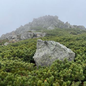 山頂はあれだ！