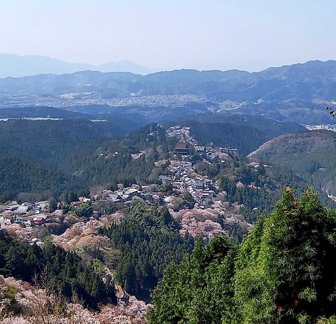 韋駄天山-吉野水分神社-吉野駅 縦走コースの写真