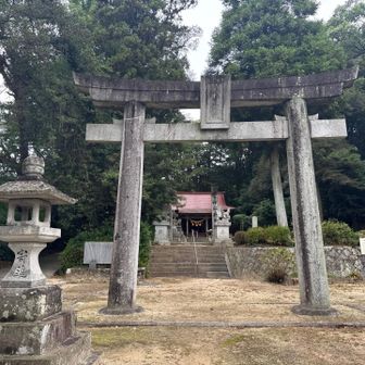 雨降らなさすぎて、久々の曇り空🤭