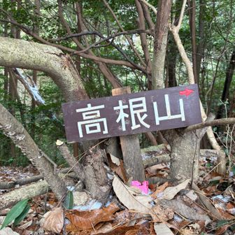 ここは山頂ではありません…