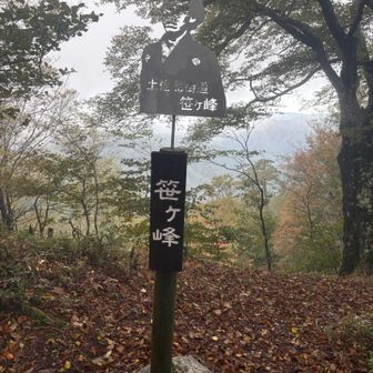 山頂に坂本龍馬がいました🐉