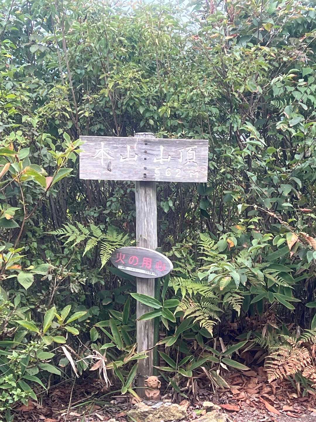 子どものもり公園登山口-本山 周回コースの写真