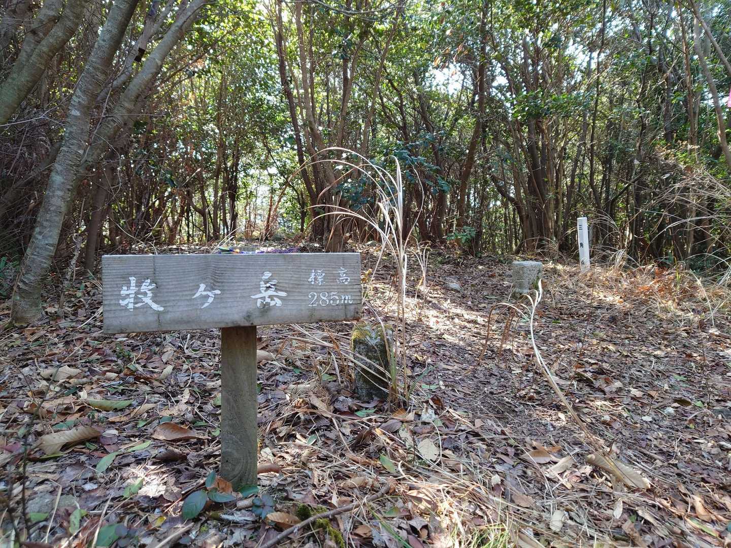 太華山-牧ヶ岳-水谷山 往復コースの写真