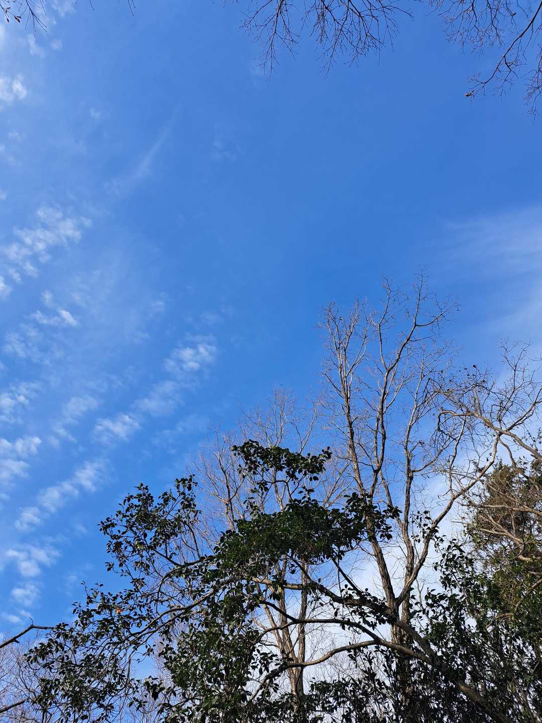 やったー青空💙