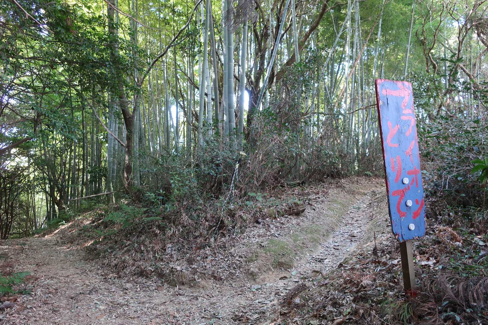 ライオン砦？なんだろ。