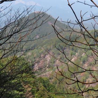 朝、登った上仏来山