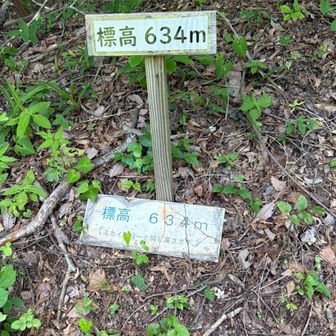 眺望があるのかと思ったら，標高標のみだった．