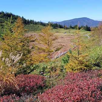 紅葉🍁が進んで綺麗です！
この日は快晴☀で弓池からは北アルプスの白馬三山から始まり五竜岳、鹿島槍ヶ岳、爺ガ岳、更に槍ヶ岳から穂高連峰まで望めました