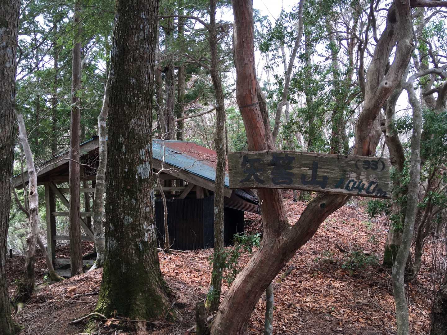 長尾矢筈山(1040m)