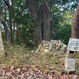 鳩ヶ峰 国分寺跡に着きました