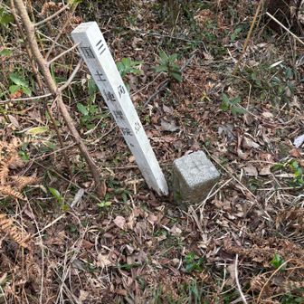 藪を掻き分け三角点。山頂標はありませんでした。