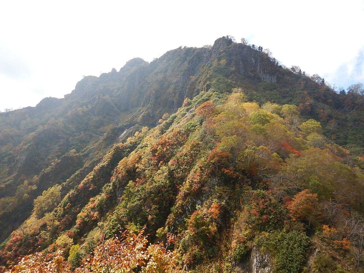紅葉🍁の山肌。