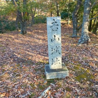 吉山山頂・城趾。
山頂への分岐を見逃してしまったため、北側から登り返した。
