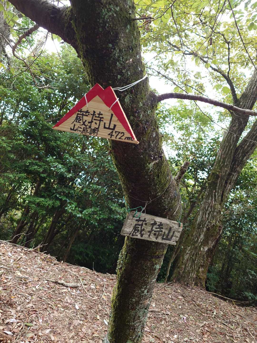 蔵持山🙌
あ、あの方も来られてますね😁