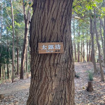太郎坊⛰️に到着です😄📸🚶‍♂️