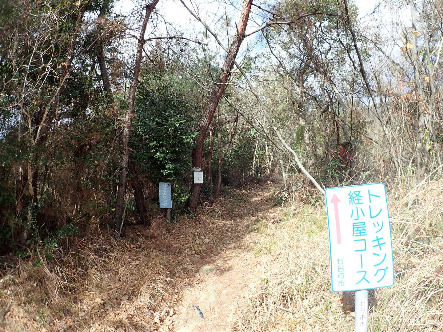 いつもの宮浜コースで上がります