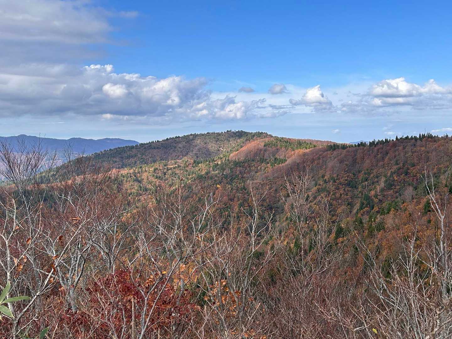 こつぶり山 往復コースの写真