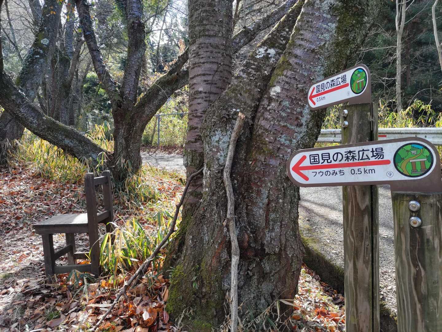 左の道を行きます🍂
椅子がある😊
