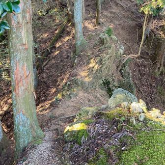 アップ⤴️⤴️⤴️⤴️⤴️⤴️

ヘロヘロ〜(  ꜆×ࡇ×)꜆