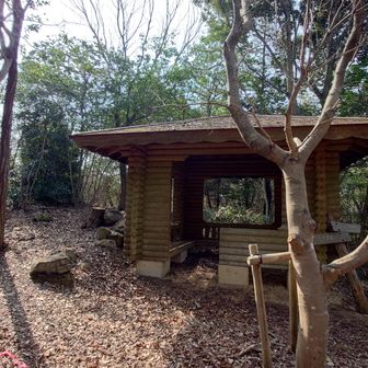 歩きやすい道を進んでいると東屋に着きました。
縦走するには途中の脇道に入らないといけませんでした。