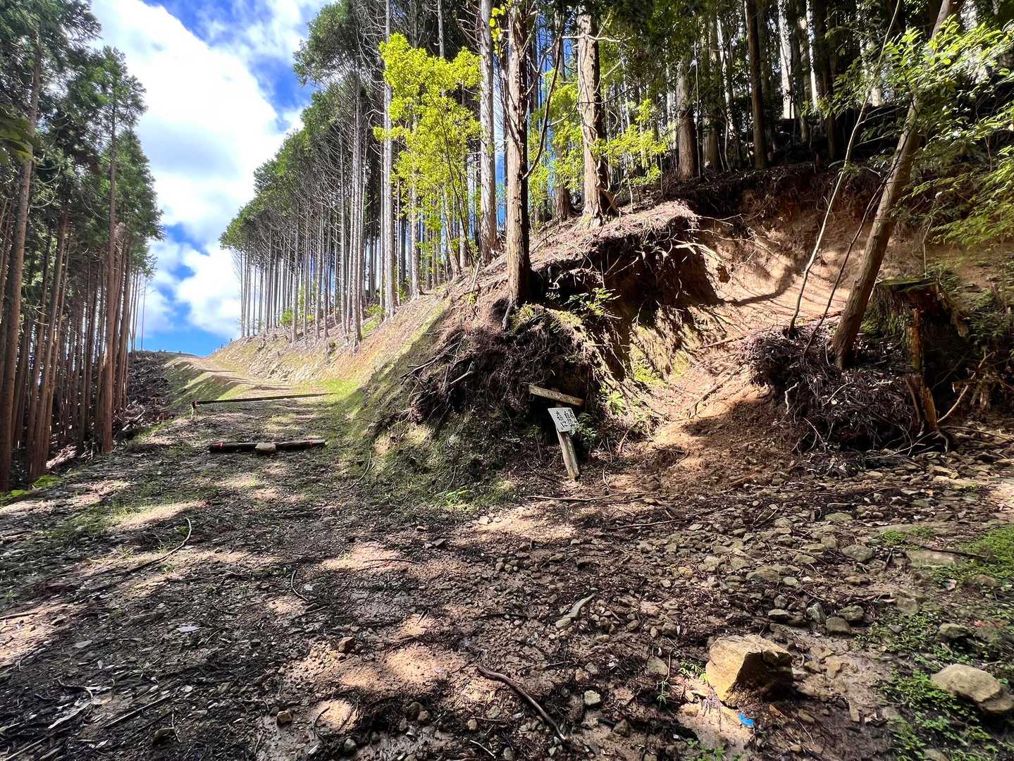 ここもついつい真っ直ぐ行っちゃいそう💦
登山道は右➡️