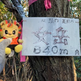 みややんさん🦁プレート